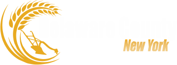 Delaware County